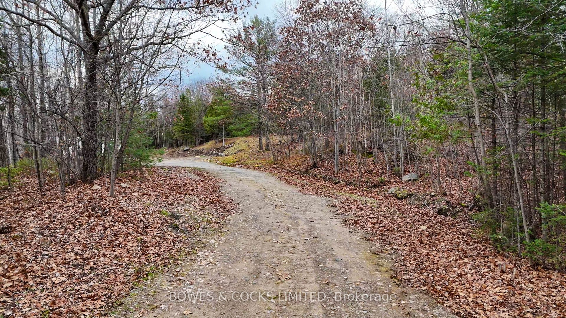 154 Little Ireland Road Property Photo 4