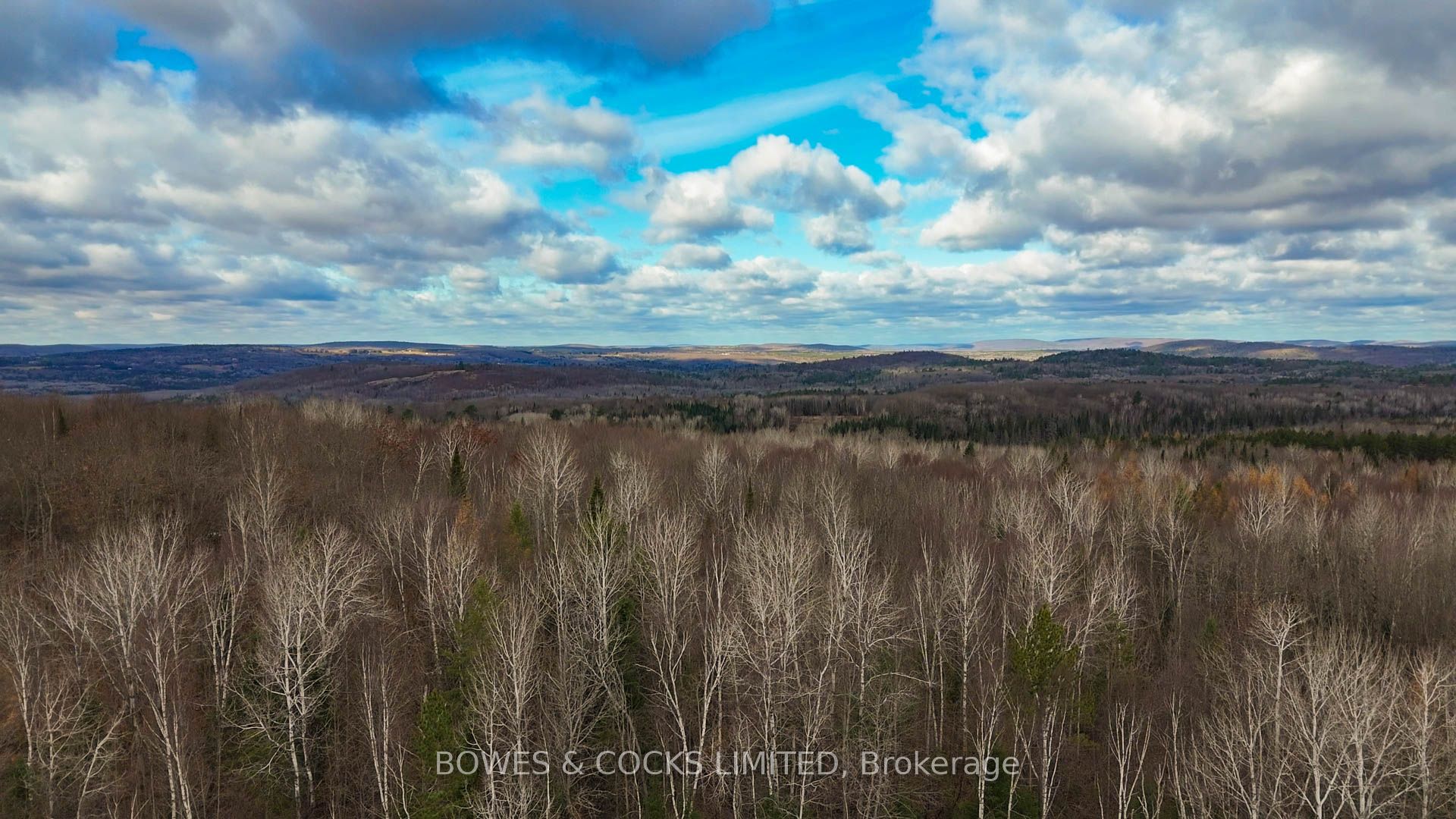 154 Little Ireland Road Property Photo 18