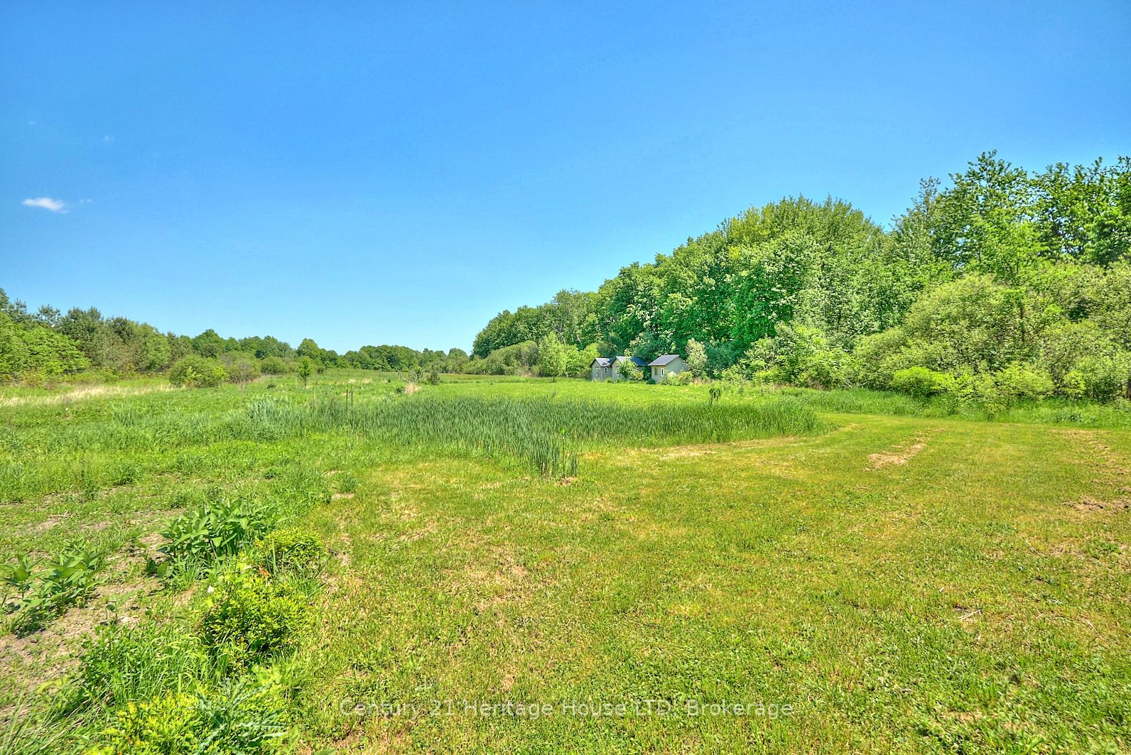 51267 Tunnacliffe Road Property Photo 7