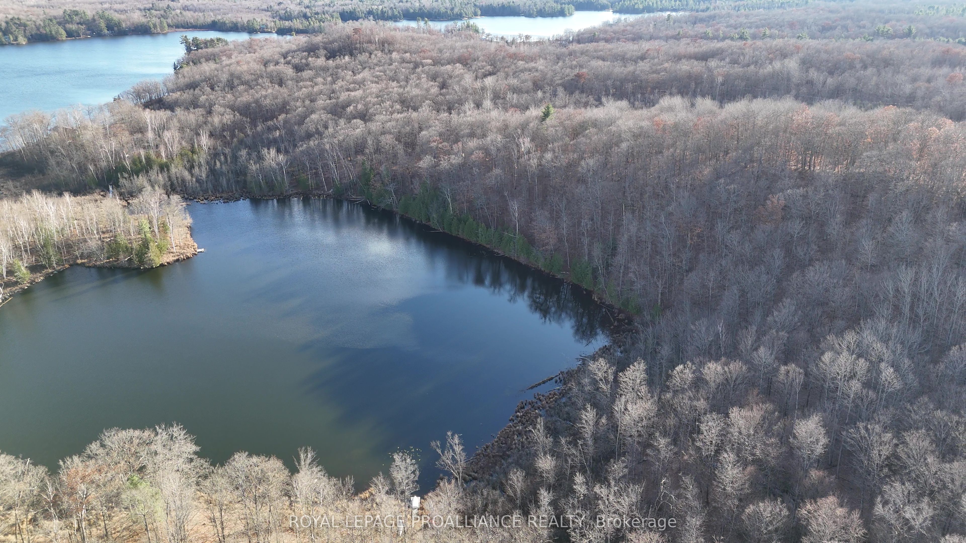 1098 Twin Sisters Lake Road Property Photo 4