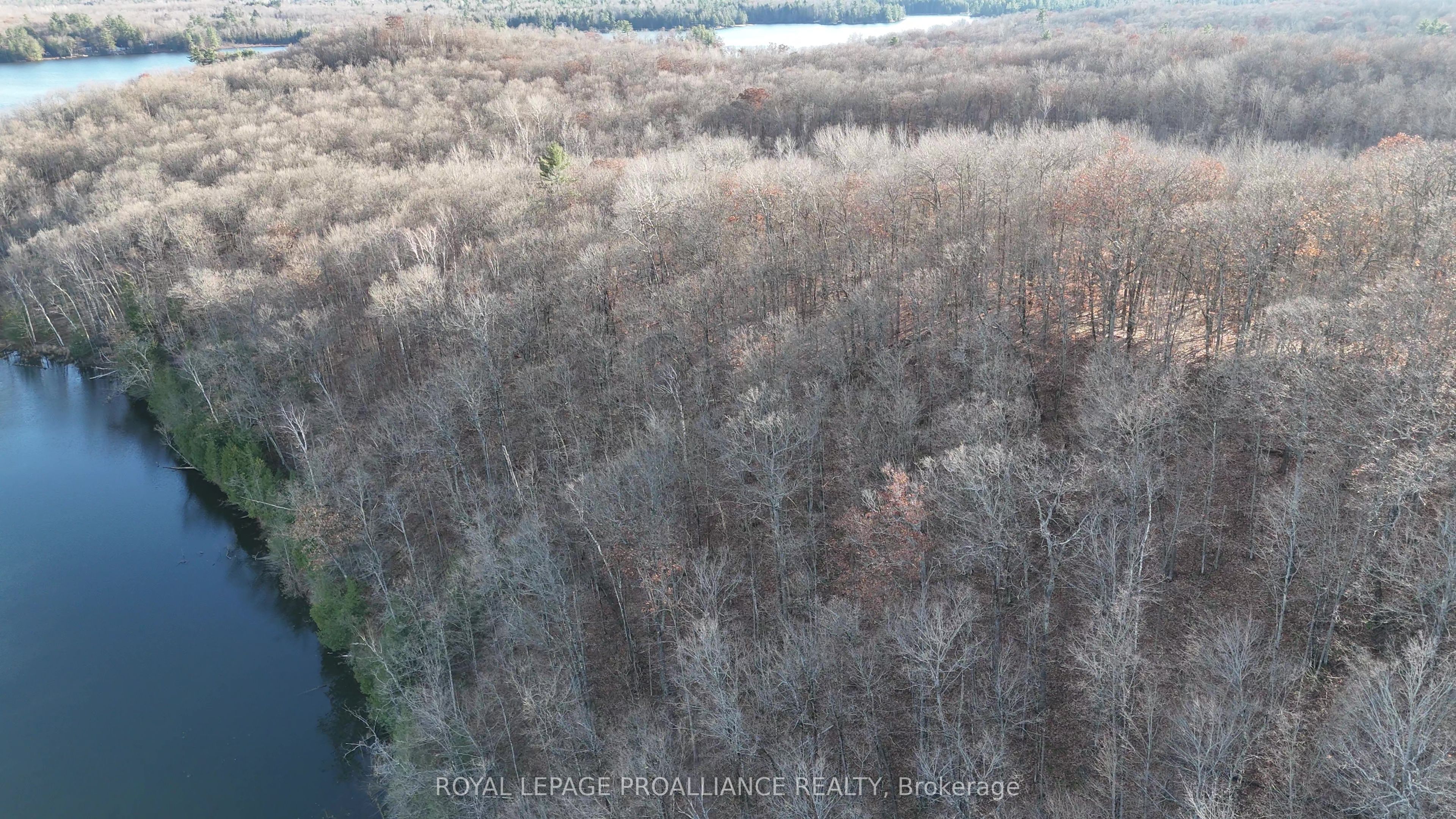 1098 Twin Sisters Lake Road Property Photo 5
