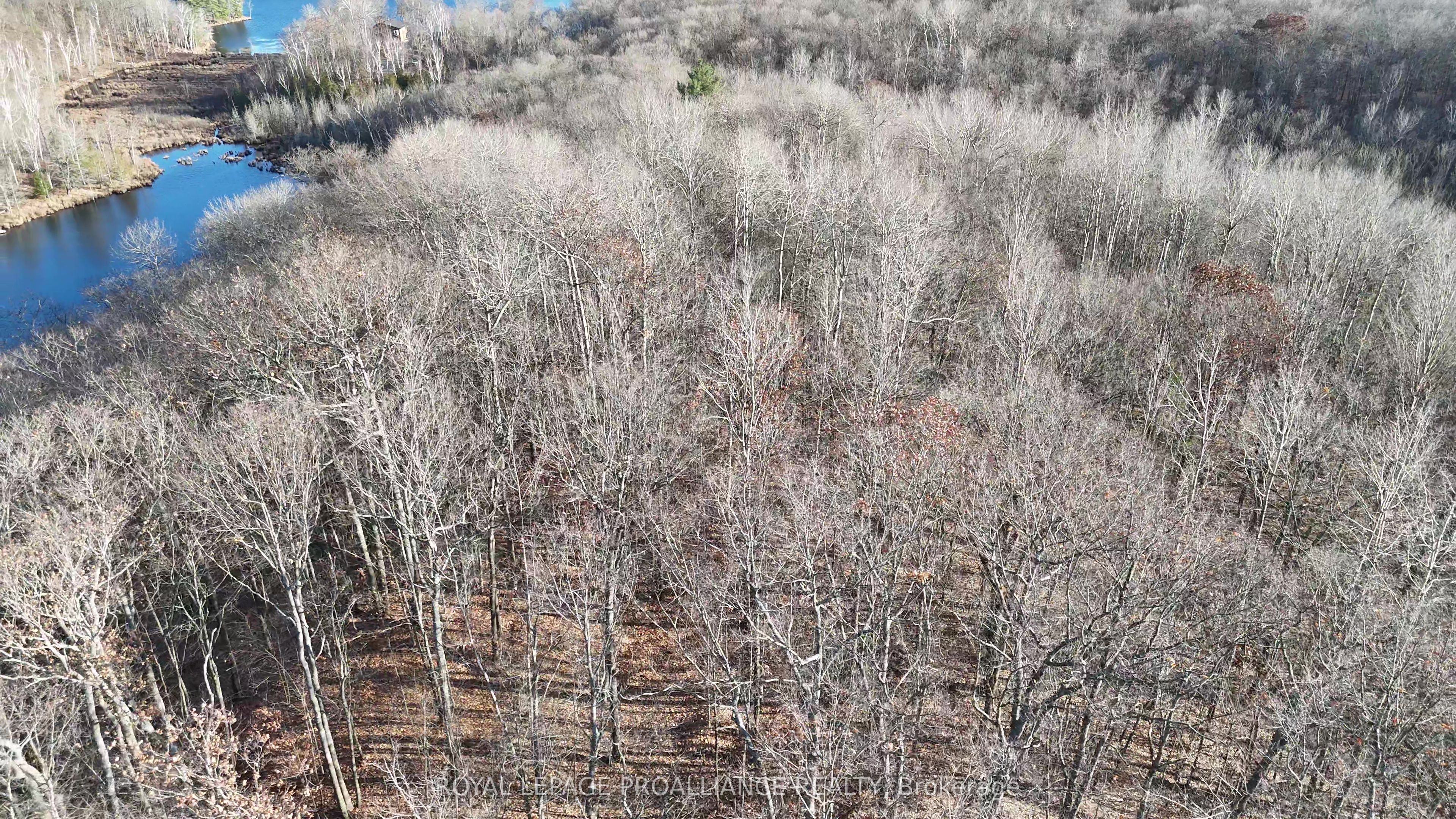 1098 Twin Sisters Lake Road Property Photo 6