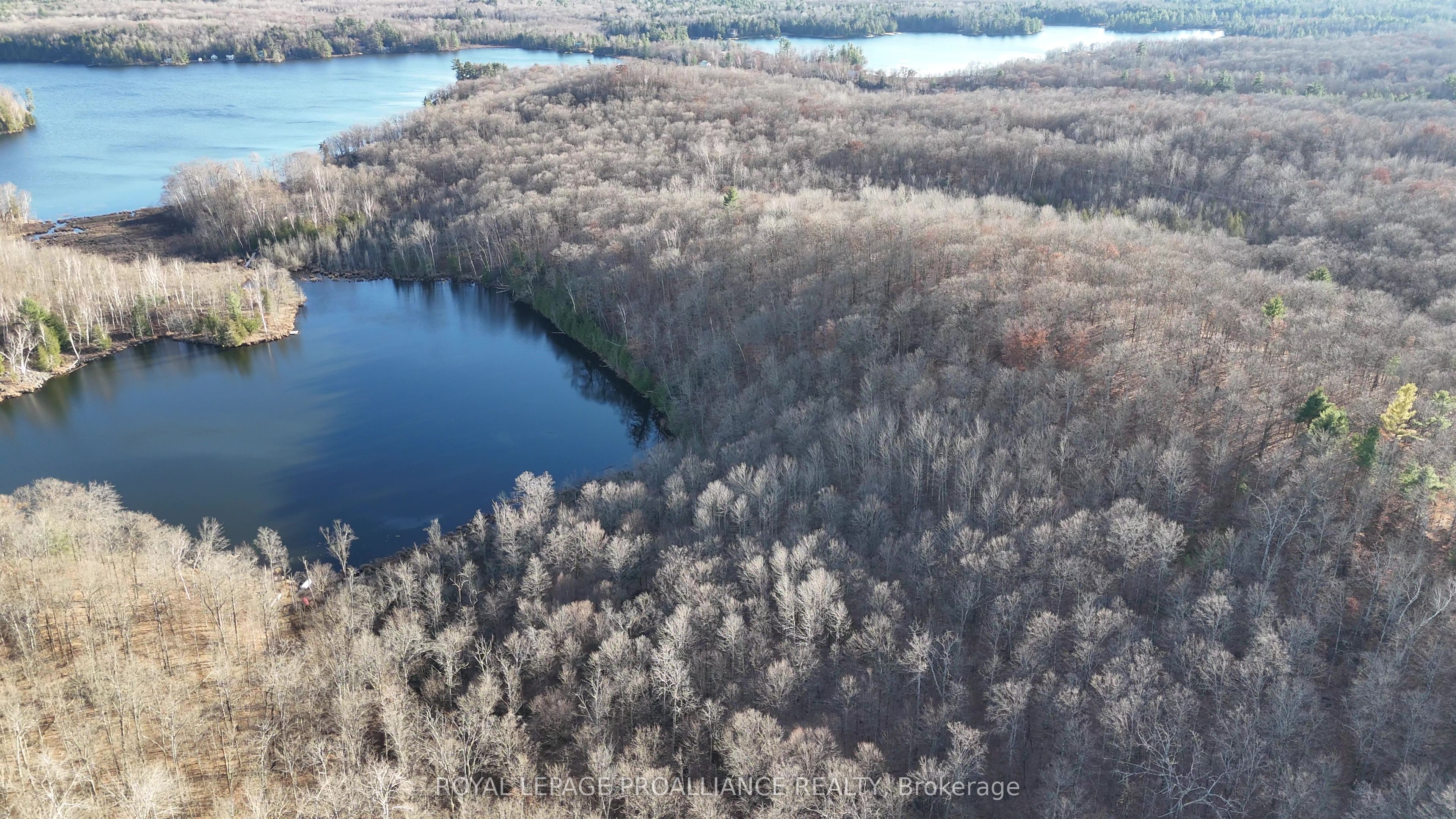 1098 Twin Sisters Lake Road Property Photo 9