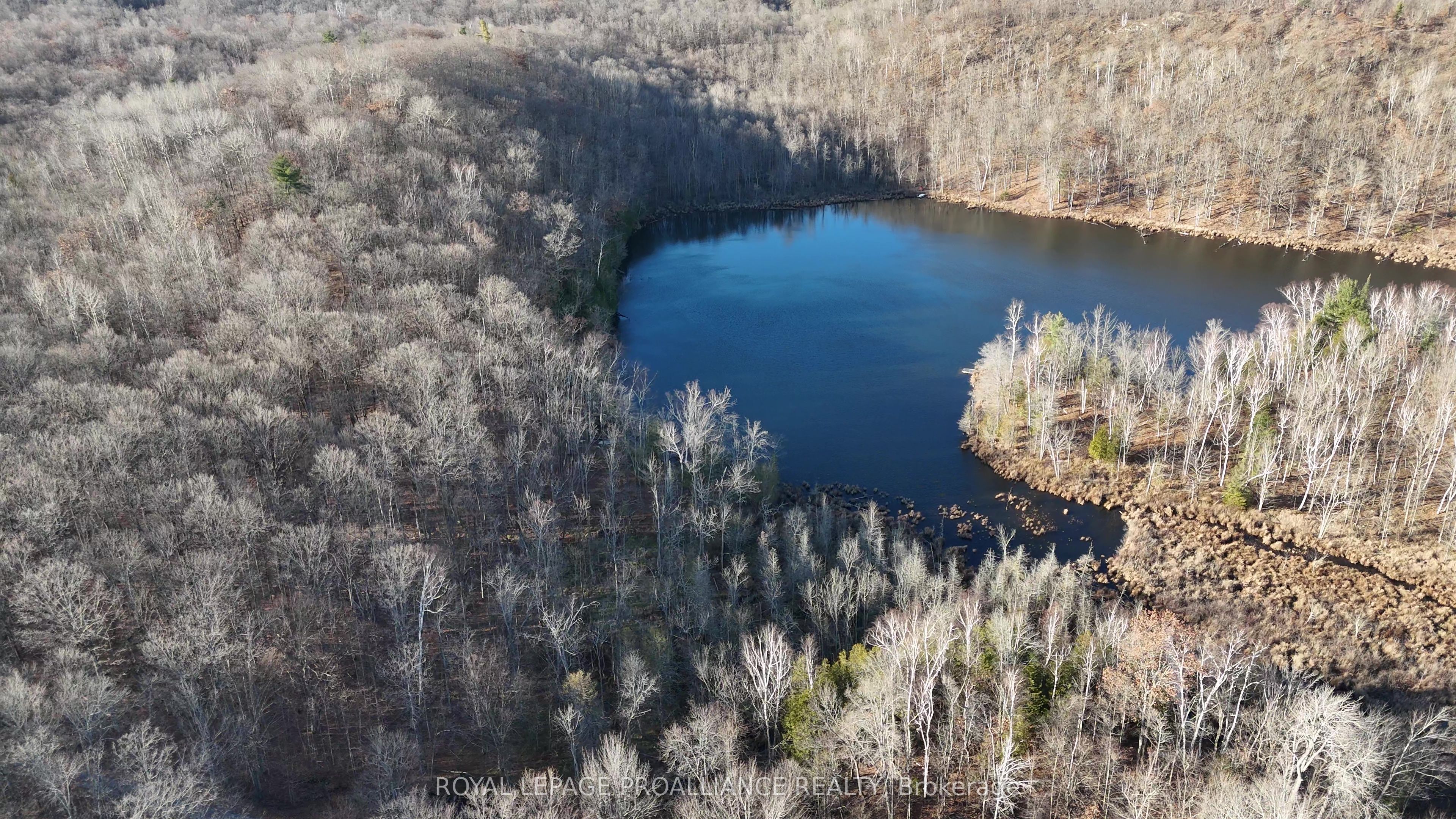 1098 Twin Sisters Lake Road Property Photo 11