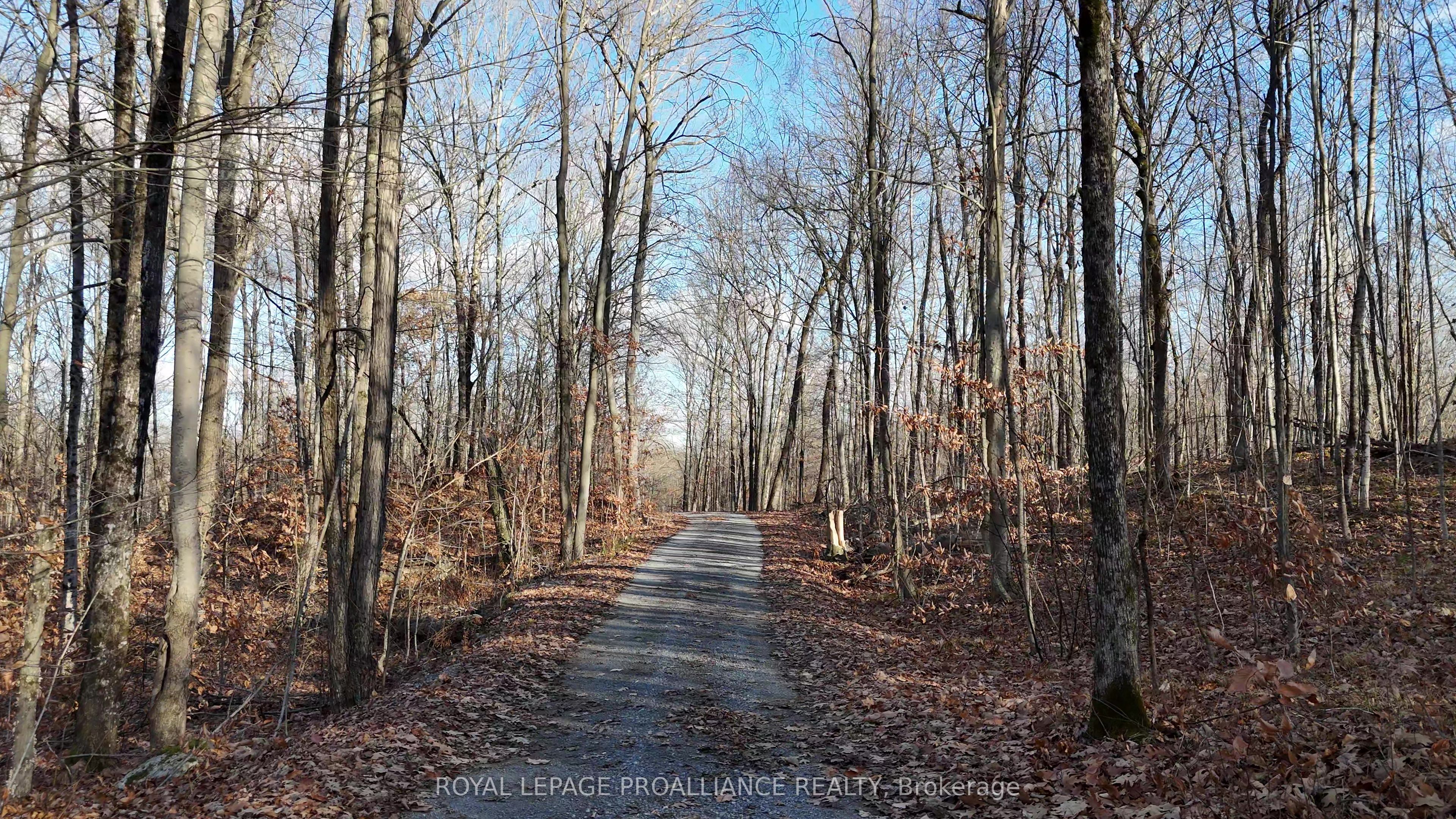 1098 Twin Sisters Lake Road Property Photo 14