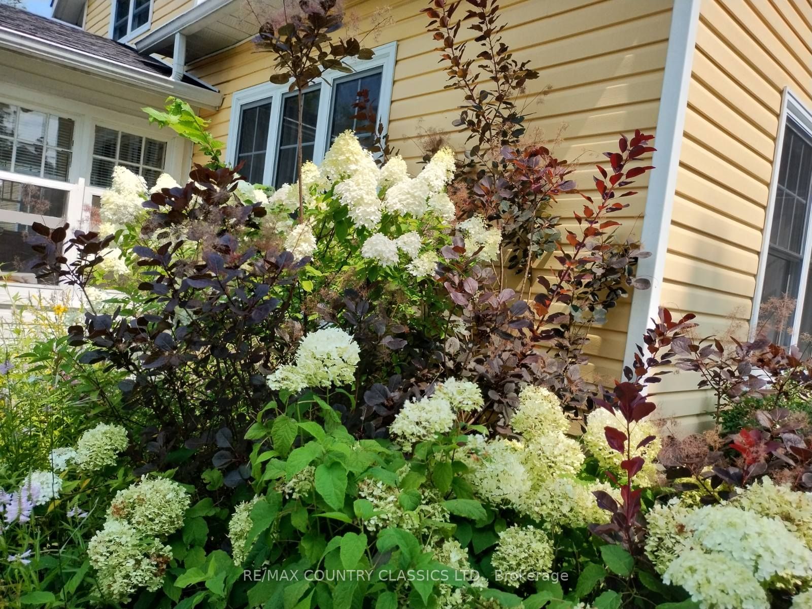 45 Wollaston Lk Road Property Photo 40