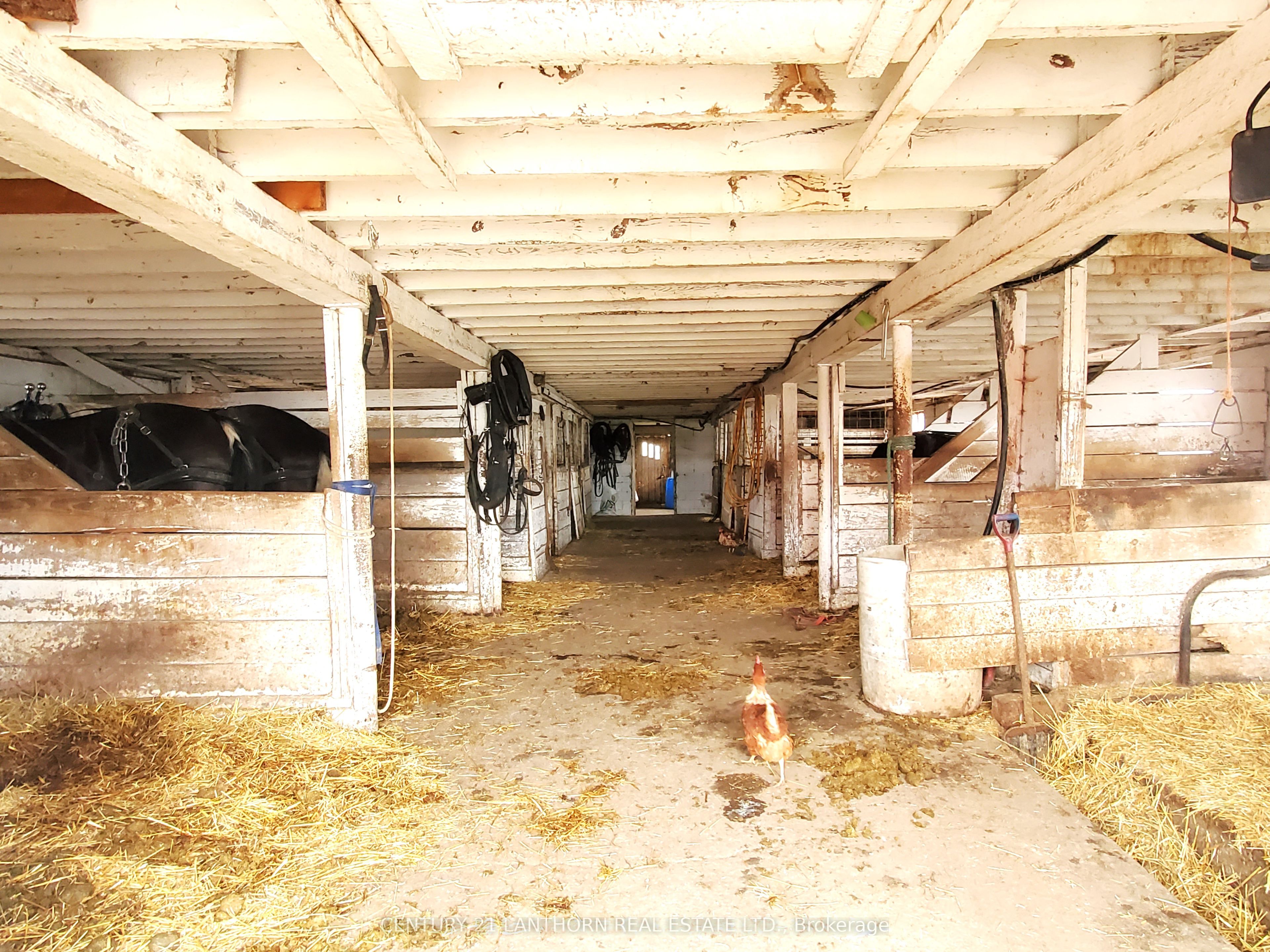 11449 Highway 62 Road Property Photo 12