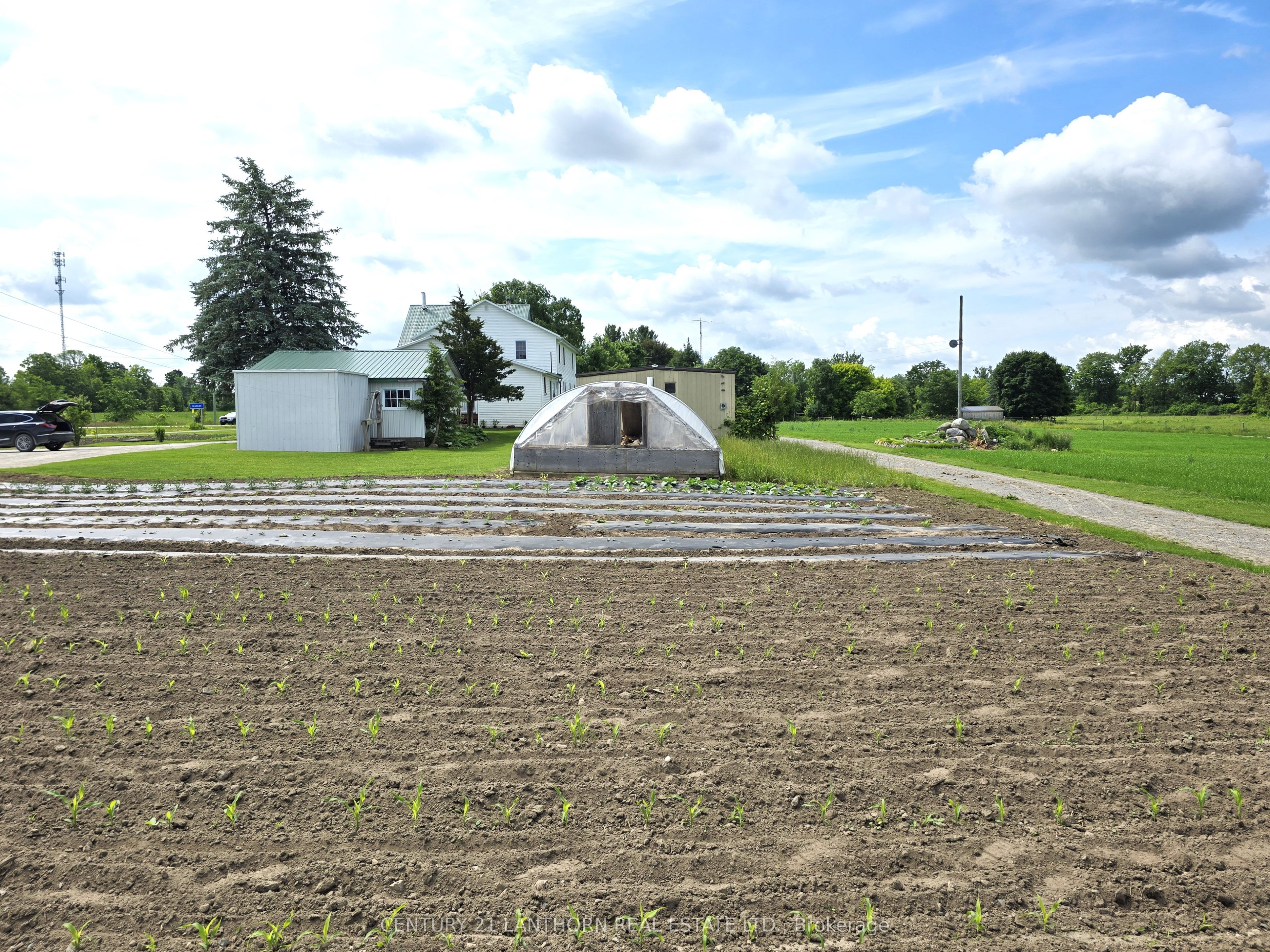 11449 Highway 62 Road Property Photo 26