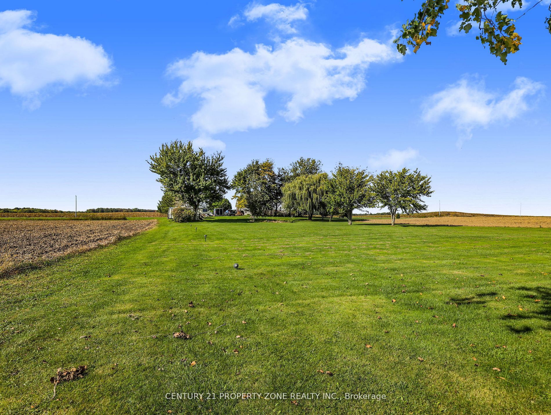 31601 Shackleton Line Property Photo 36