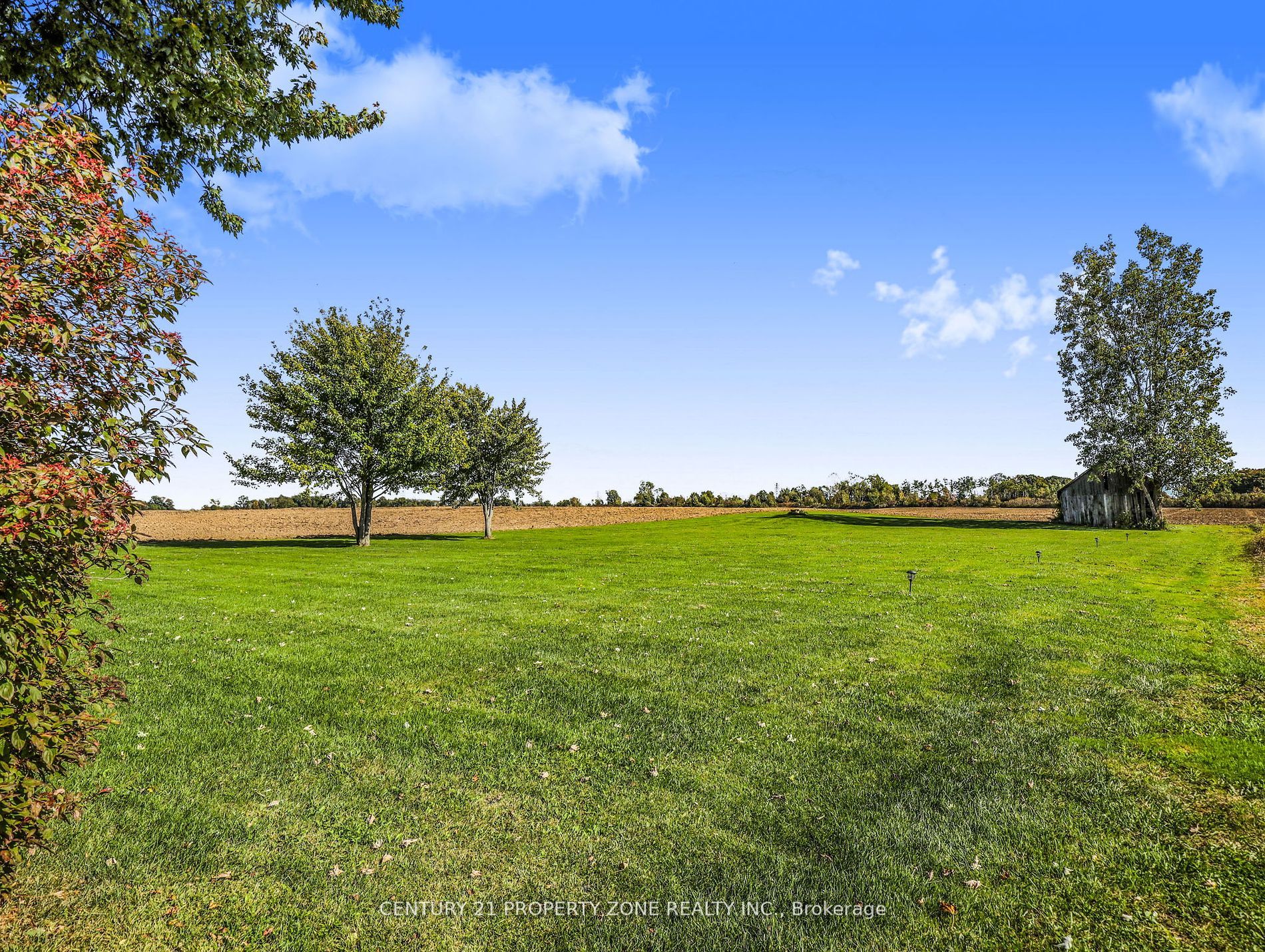 31601 Shackleton Line Property Photo 38