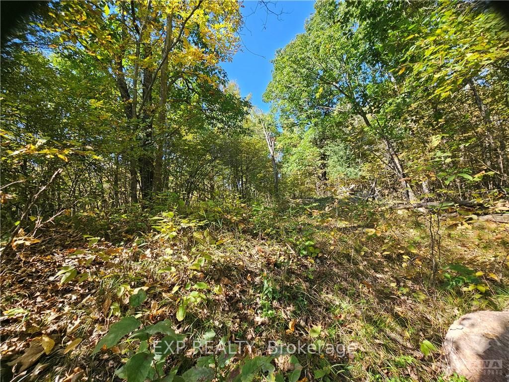 752 Bennett Lake Road Property Photo 9