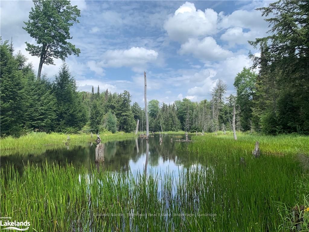 Lt15 C2 River Road Property Photo 3