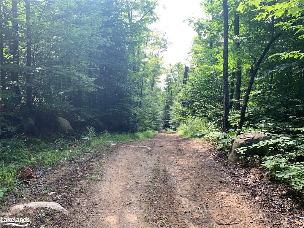 Lt15 C2 River Road Property Photo 5