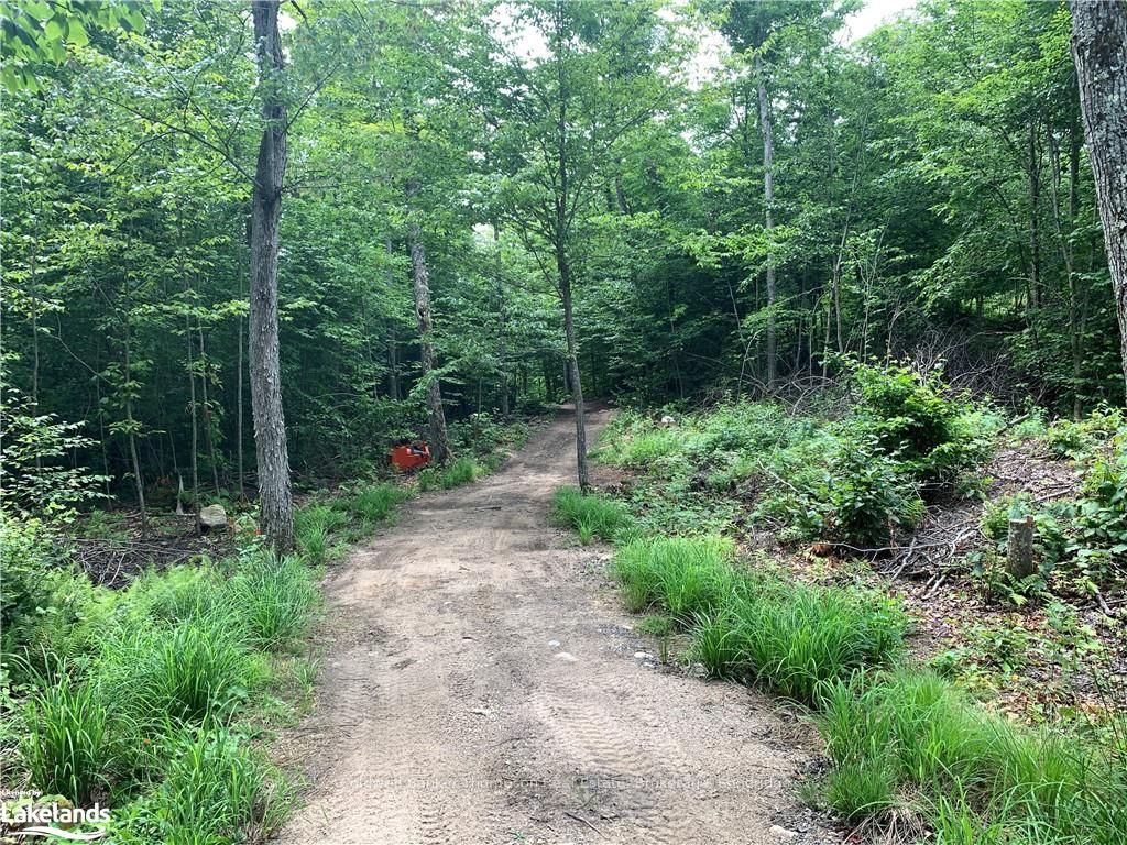 Lt15 C2 River Road Property Photo 35
