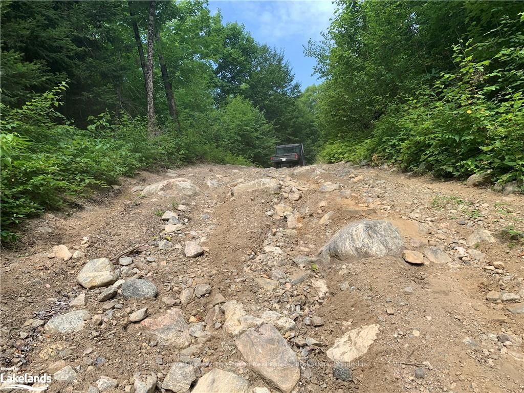Lt15 C2 River Road Property Photo 36