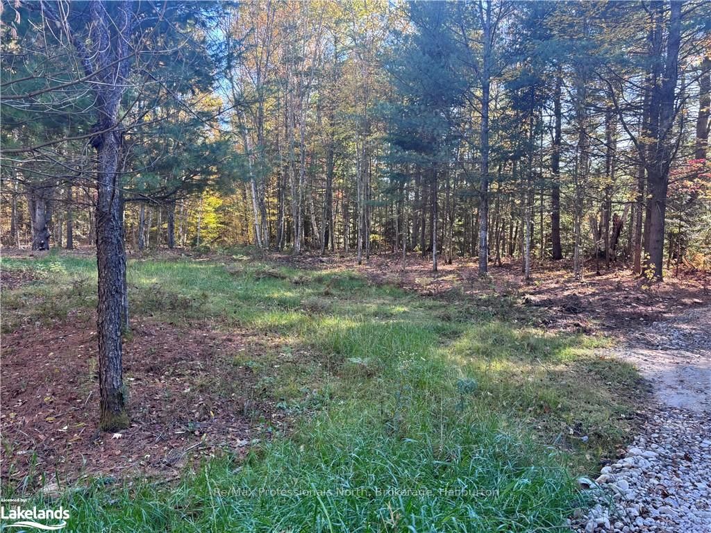 1071 Hawk Valley Road Property Photo 7