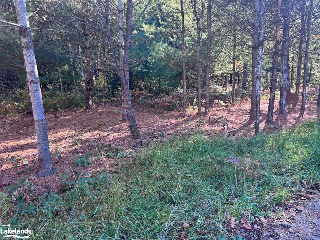 1081 Hawk Valley Road Property Photo 2
