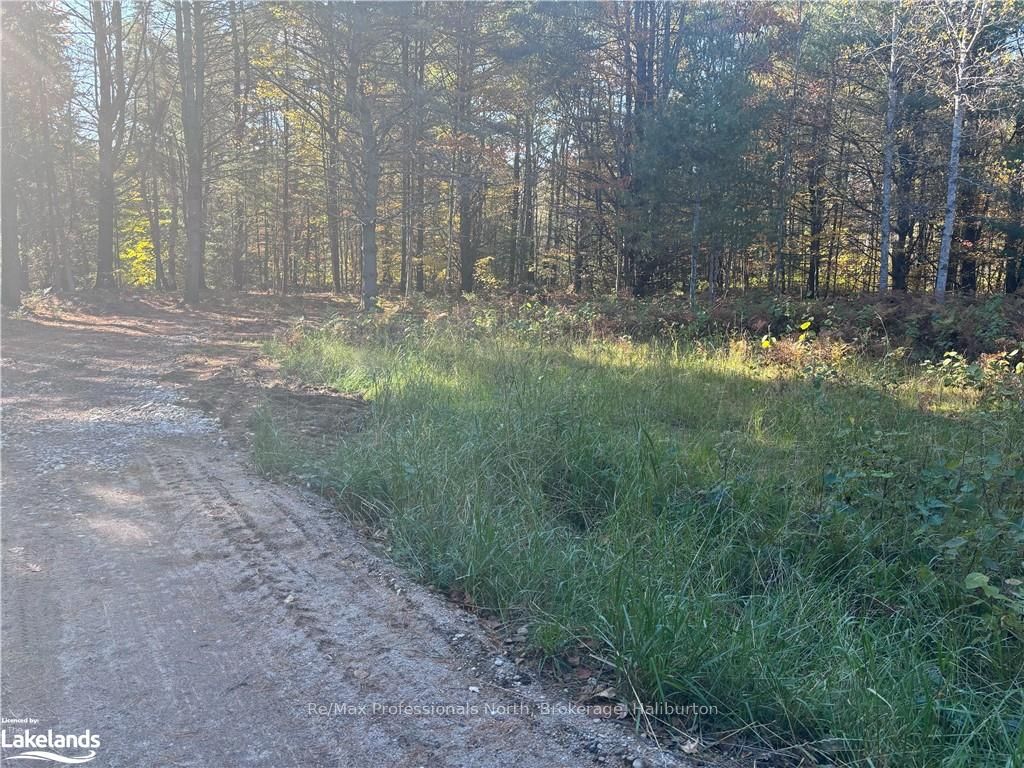 1081 Hawk Valley Road Property Photo 3