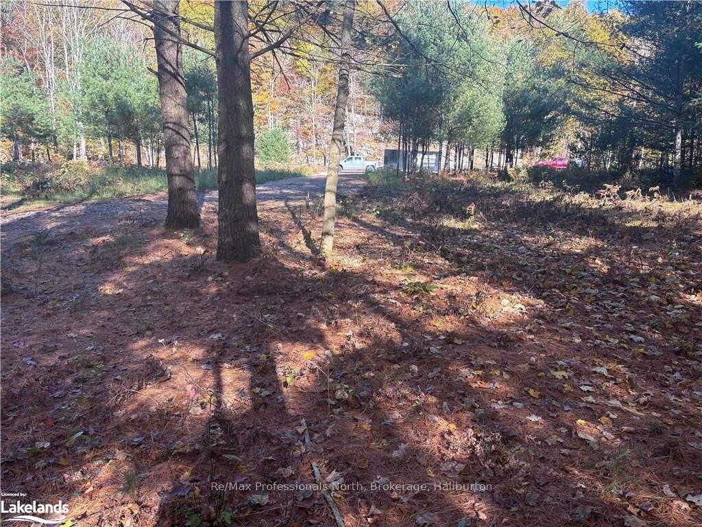 1081 Hawk Valley Road Property Photo 6