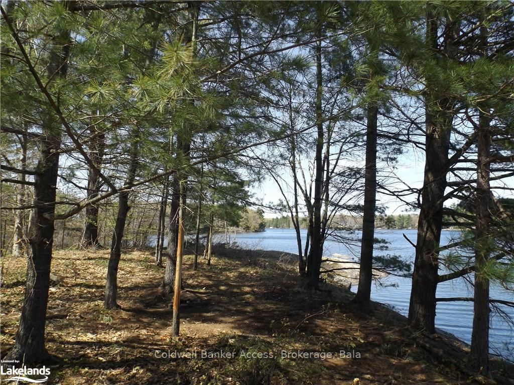 38 Hawkins Point Road Property Photo 13
