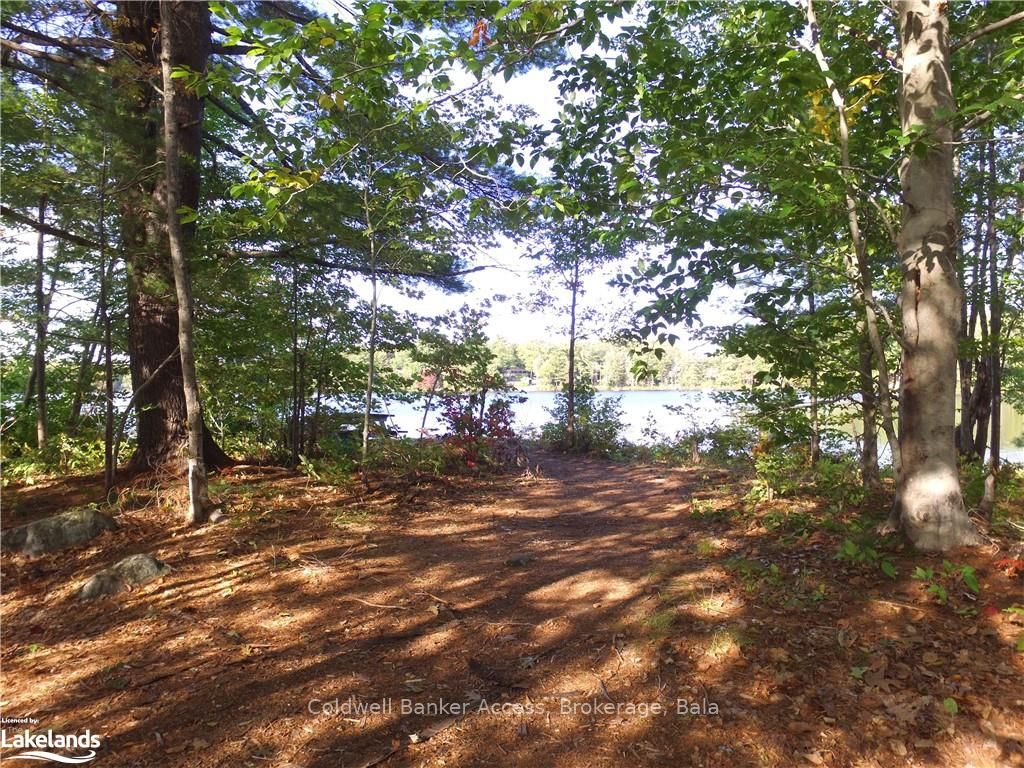 38 Hawkins Point Road Property Photo 19