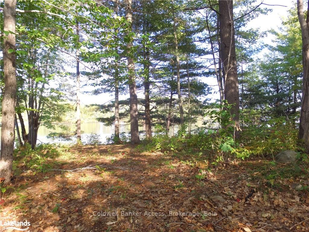 38 Hawkins Point Road Property Photo 20