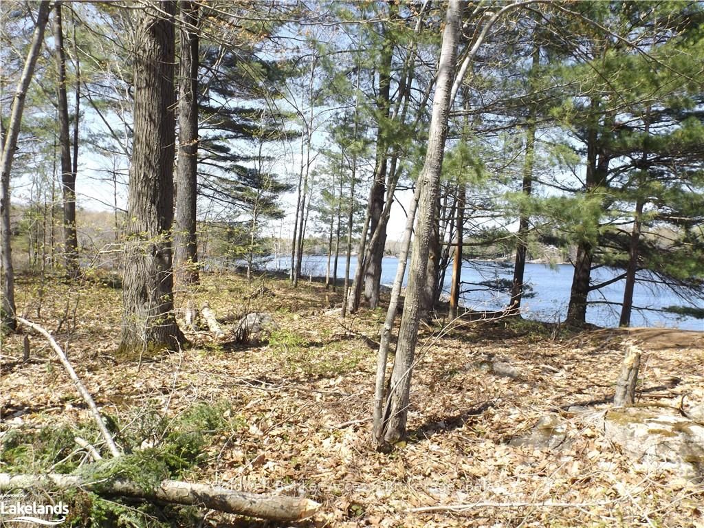 38 Hawkins Point Road Property Photo 21