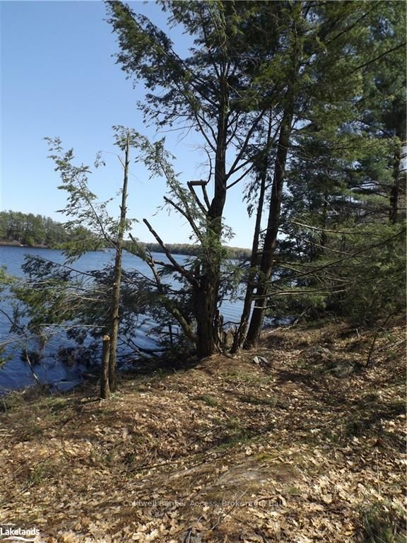 38 Hawkins Point Road Property Photo 23