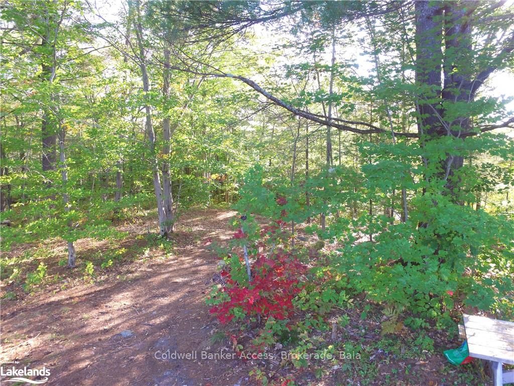 38 Hawkins Point Road Property Photo 25