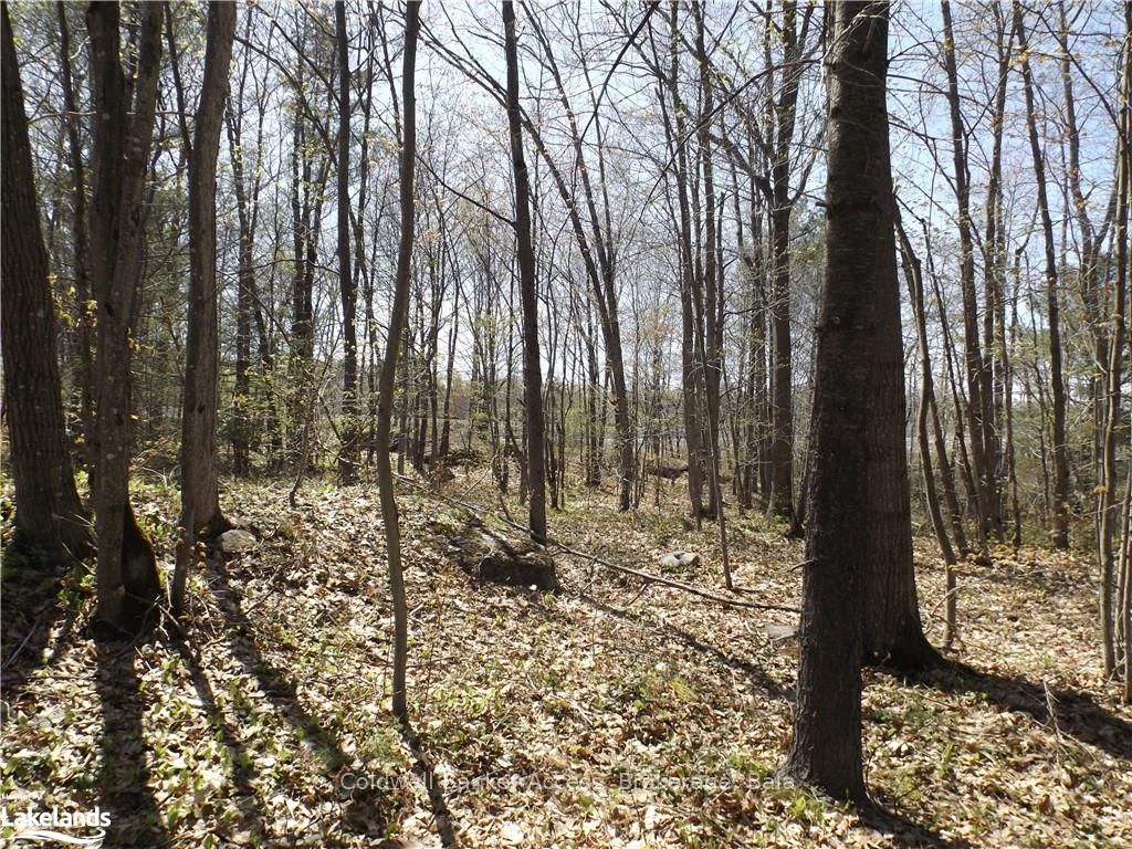 38 Hawkins Point Road Property Photo 28