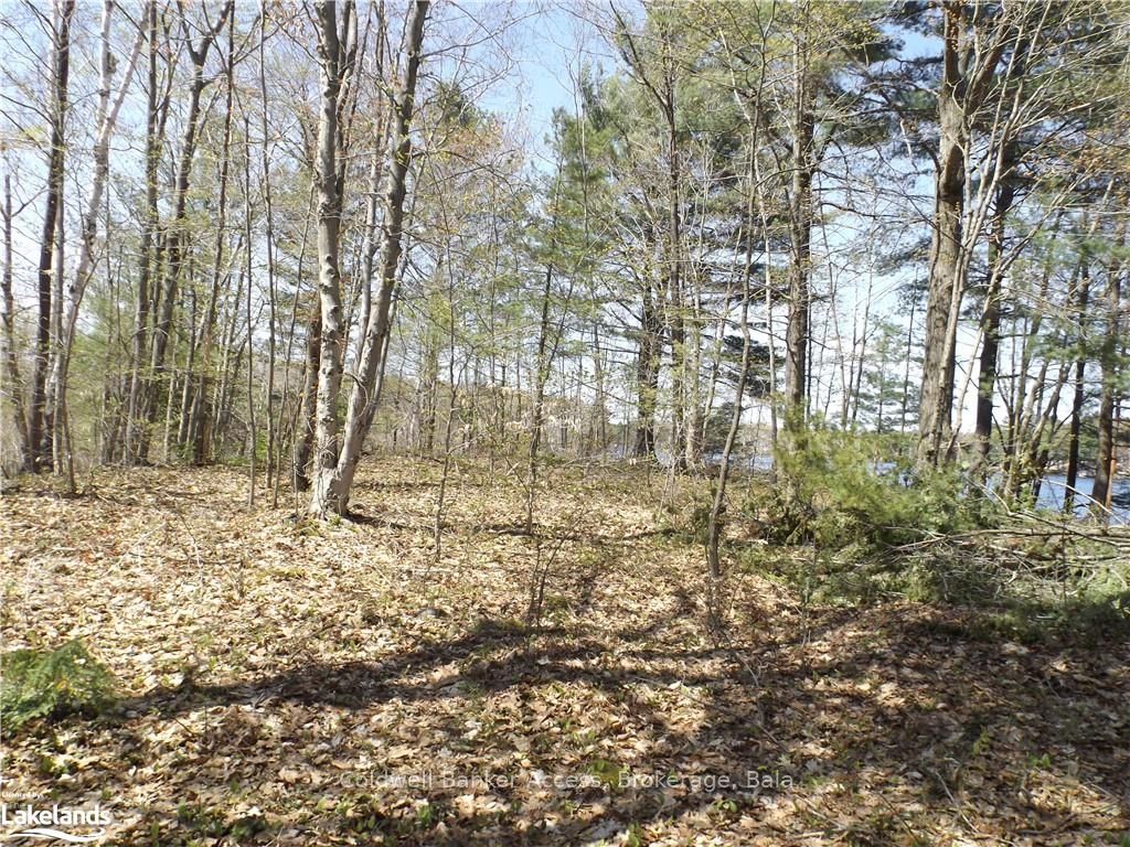 38 Hawkins Point Road Property Photo 29