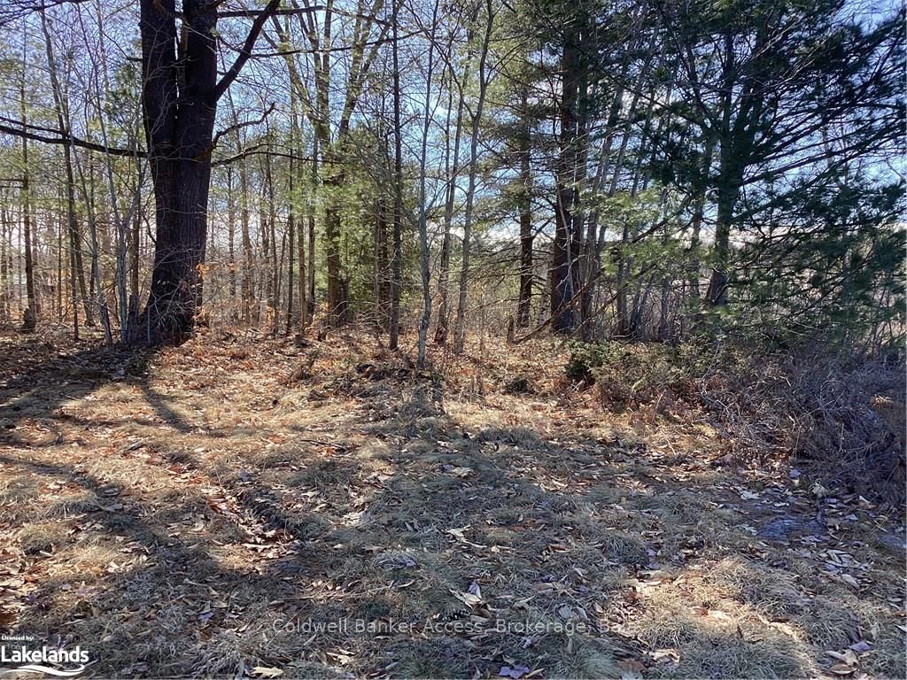 38 Hawkins Point Road Property Photo 33