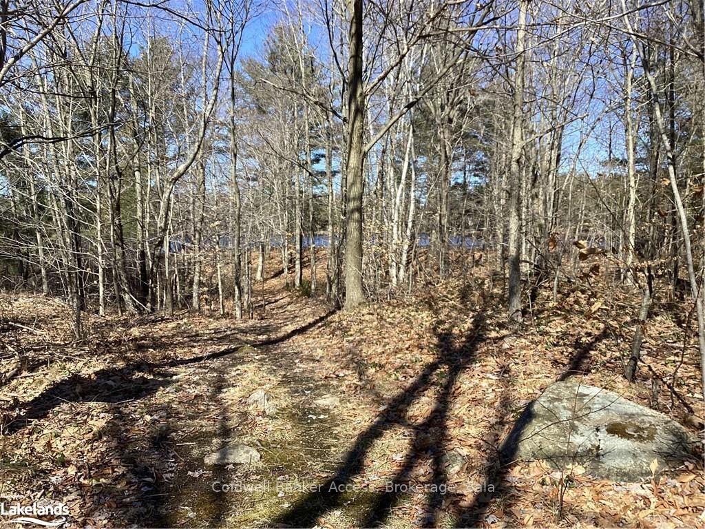38 Hawkins Point Road Property Photo 34