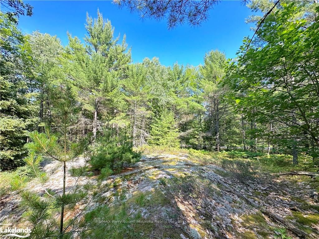 0 Tom Coopers Road Property Photo