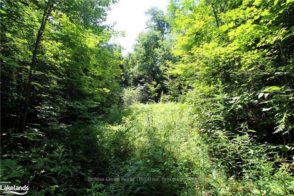 20 Th Sideroad Property Photo 1