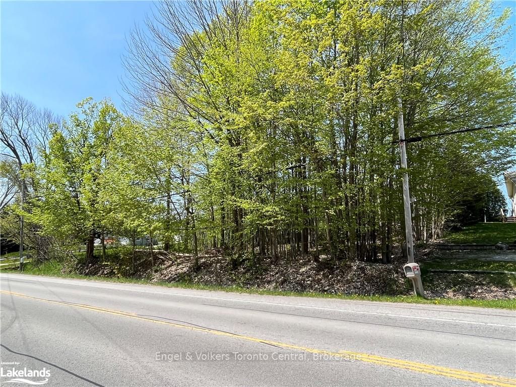 Part Lot 31 1 Grey Road Property Photo 1