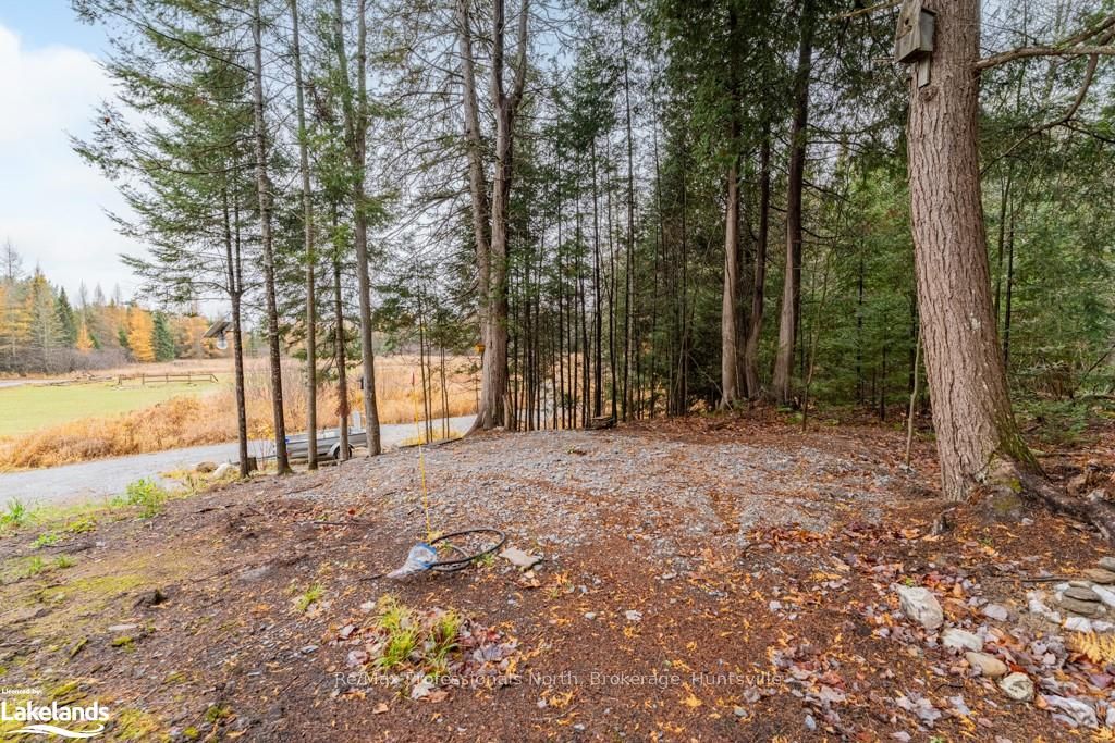#15-16 - 93 Rye Road Property Photo 34