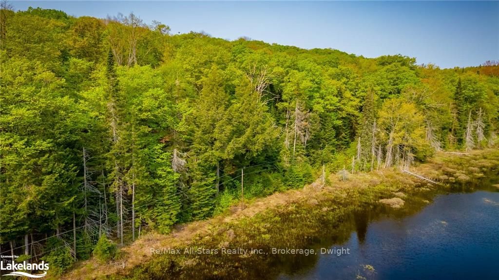 0 Angle Lake Road Property Photo 4
