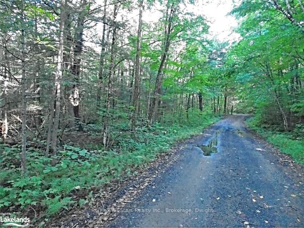 0 Angle Lake Road Property Photo 5