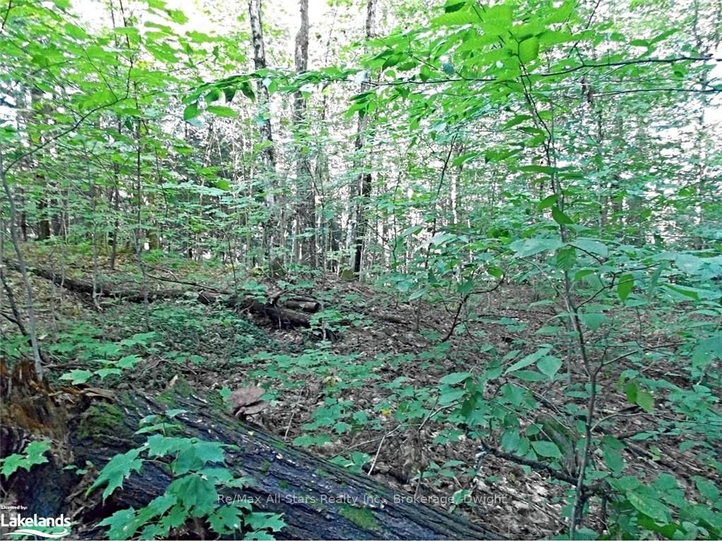 0 Angle Lake Road Property Photo 10