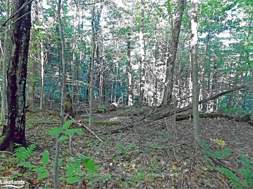0 Angle Lake Road Property Photo 11