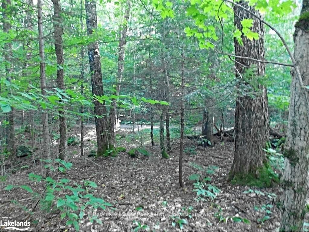0 Angle Lake Road Property Photo 12