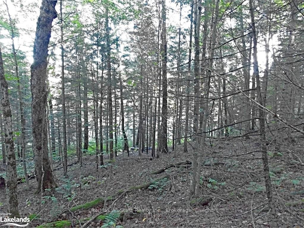 0 Angle Lake Road Property Photo 13