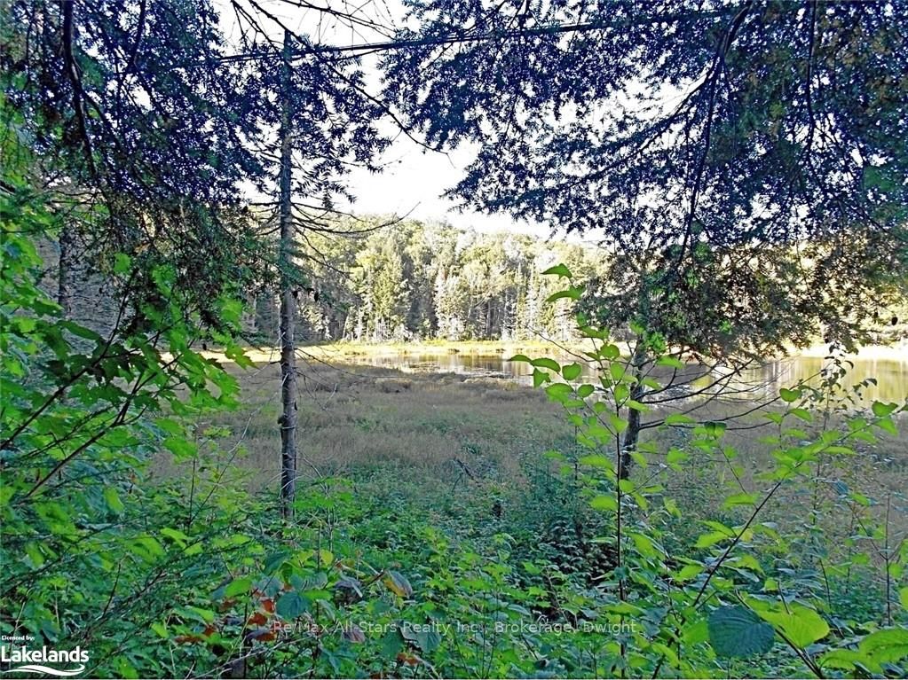 0 Angle Lake Road Property Photo 15