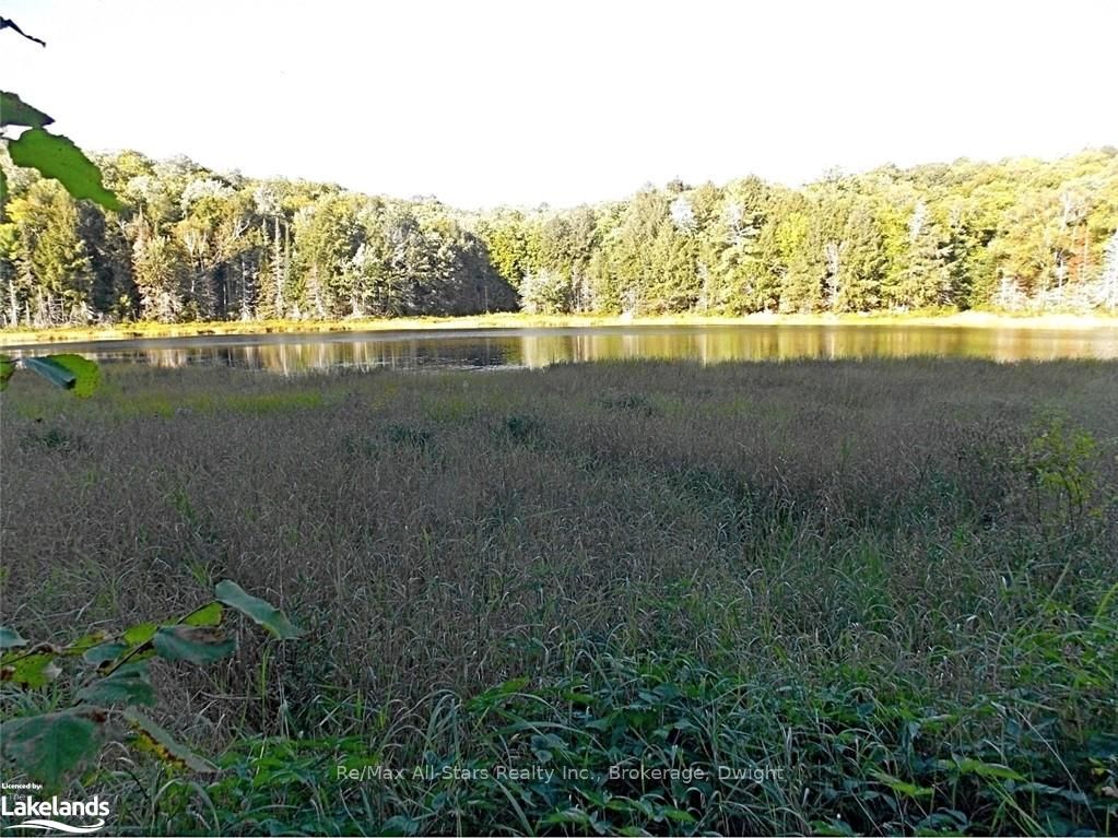 0 Angle Lake Road Property Photo 18