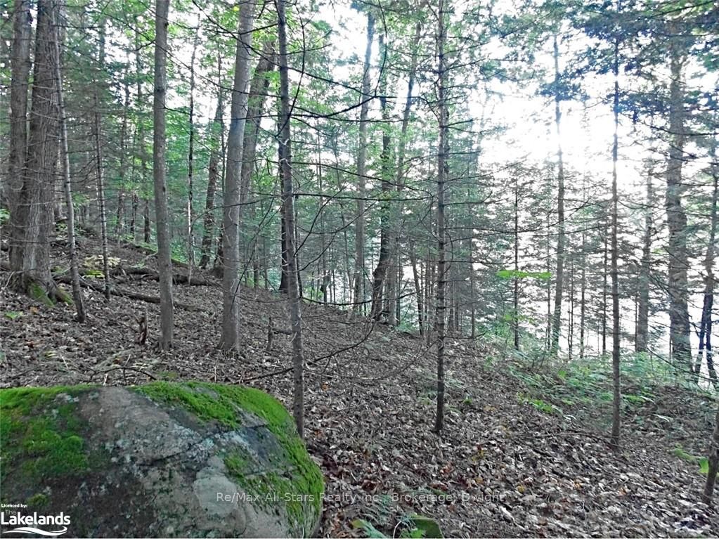 0 Angle Lake Road Property Photo 19