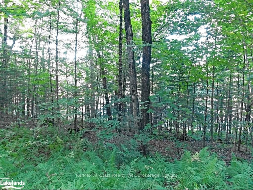 0 Angle Lake Road Property Photo 20