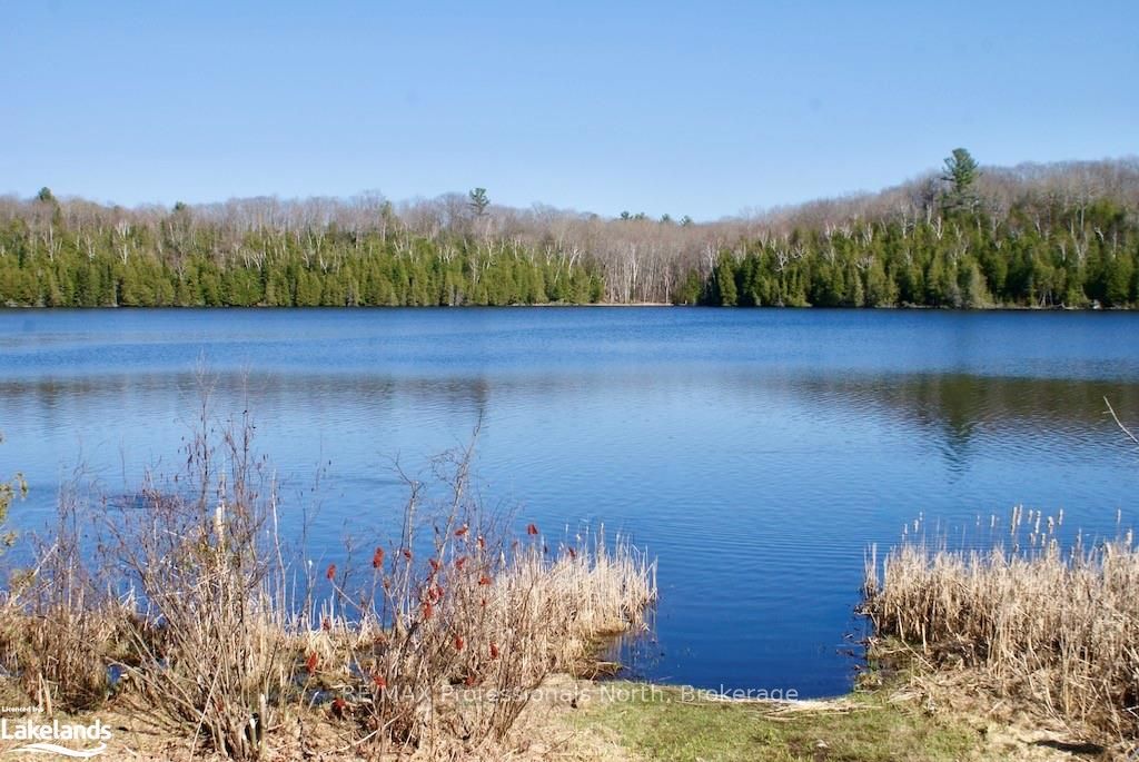 0 Highway 35 Property Photo 2