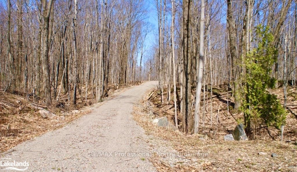 0 Highway 35 Property Photo 5