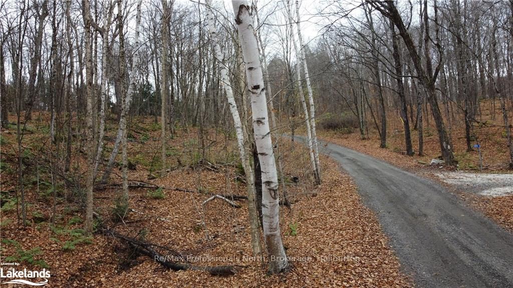 0 Basshaunt Lake Road Property Photo 1